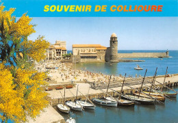 66 COLLIOURE  Les Barques De Pêche Souvenir  (Scan R/V) N°   36   \MT9127 - Collioure