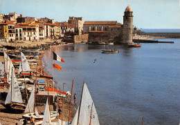 66 COLLIOURE  La Rade Et Ses Voiliers  (Scan R/V) N°   27   \MT9127 - Collioure