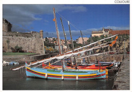 66 COLLIOURE    Les Barques De Pêche   (Scan R/V) N°   47   \MT9127 - Collioure