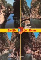66 Amélie-les-Bains-Palalda Les Gorges Du Mondony  (Scan R/V) N°   60  \MT9126 - Ceret