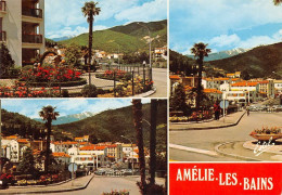 66 Amélie-les-Bains-Palalda Les Palmiers  (Scan R/V) N°   59  \MT9126 - Ceret