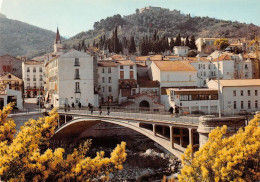 66 Amélie-les-Bains-Palalda Le Temps Des Mimosas            (Scan R/V) N°   3   \MT9126 - Ceret