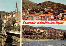 66 Amélie-les-Bains-Palalda  Souvenir (Scan R/V) N°   48  \MT9126 - Ceret