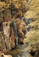 66 Amélie-les-Bains-Palalda  Gorges De Mondony  Les Cascades  (Scan R/V) N°   28   \MT9126 - Ceret