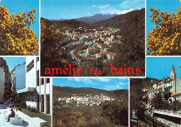 66 Amélie-les-Bains-Palalda  Multivue (Scan R/V) N°   47  \MT9126 - Ceret