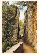 66 Amélie-les-Bains-Palalda  Gorges De Mondony  Le Passage De Castellane  (Scan R/V) N°   27   \MT9126 - Ceret