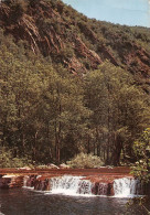 66 Amélie-les-Bains-Palalda  Gorges De Mondony  La Petite PLAGE  (Scan R/V) N°   26   \MT9126 - Ceret