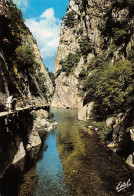 66 Amélie-les-Bains-Palalda  Gorges De Mondony   (Scan R/V) N°   29   \MT9126 - Ceret