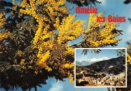 66 Amélie-les-Bains-Palalda   époque Des Mimosas   (Scan R/V) N°   51  \MT9126 - Ceret