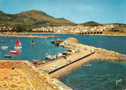 66 Banyuls-sur-Mer  Le Port Et La Baie     (Scan R/V) N°   9   \MT9125 - Banyuls Sur Mer