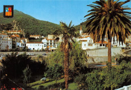 66 Amélie-les-Bains-Palalda  Vue Partielle (Scan R/V) N°   48   \MT9125 - Ceret