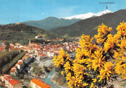 66 Amélie-les-Bains-Palalda  Vue Générale Et Canigou  (Scan R/V) N°   52   \MT9125 - Ceret