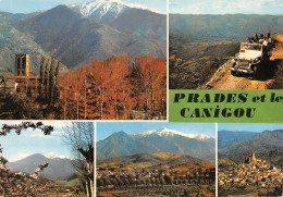 66  PRADES  Et Le Canigou   (Scan R/V) N°   15   \MT9134 - Prades