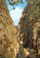 66  Amélie-les-Bains-Palalda Les Gorges De Mondony      (Scan R/V) N°   6   \MT9134 - Ceret