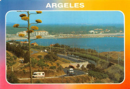 66  ARGELES Vue Générale        (Scan R/V) N°   4   \MT9134 - Argeles Sur Mer