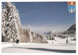 38  Saint-Christophe-sur-Guiers  Centre De Ski Nordique  De La RUCHERE Plateau D'ARPIZON  (Scan R/V) N°  22   \MT9151 - Grenoble