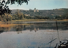 38  Crémieu Etang De Ry   (Scan R/V) N°   15   \MT9150 - Crémieu