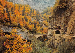 38  Rencurel  Les Gorges De La Bourne Pont De La Goule Noire  (Scan R/V) N°   50   \MT9150 - Villard-de-Lans