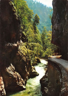 38 Entrée Du Desert Route De La Grande Chartreuse  (Scan R/V) N°   50   \MT9148 - Grenoble