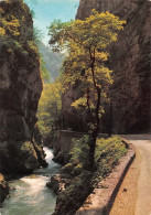 38 Route De Villard-de-Lans Vers Pont En Royans Gorges De La Bourne          (Scan R/V) N°   5   \MT9143 - Villard-de-Lans