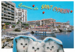 66 Saint Cyprien Au Bord De La Méditerranée Avec Petits Chats - Saint Cyprien