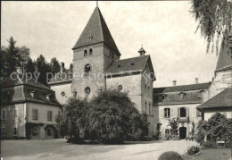 11639521 Muenchenwiler Schloss Muenchenwiler Muenchenwiler - Altri & Non Classificati