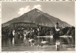 11639400 Spiez BE Thunersee Schloss Hotel Spiezerhof  Spiez - Otros & Sin Clasificación