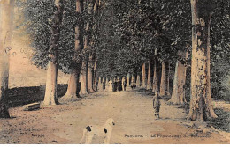 PAMIERS - La Promenade Du Calvaire - état - Pamiers