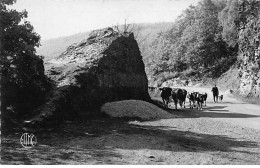 La Vallée De La Semoy - TOURNAVAUX - La Roche Aux Corplas - Très Bonétat - Andere & Zonder Classificatie