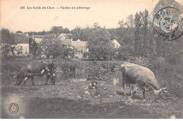 Les Bords Du Cher - Vaches Au Pâturage - état - Other & Unclassified