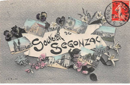 Souvenir De SEGONZAC - Très Bon état - Other & Unclassified