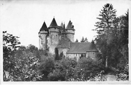 CHAMPS SUR TARENTAINE - Château - Très Bon état - Other & Unclassified