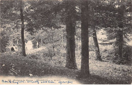 BRASSEUIL - Le Moulin - Très Bon état - Sonstige & Ohne Zuordnung