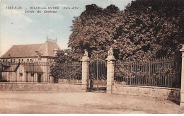 BELAN SUR OURCE - Entrée Du Château - Très Bon état - Other & Unclassified