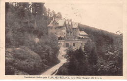 Sanatorium Salem Près AUBURE FRELAND - Très Bon état - Otros & Sin Clasificación