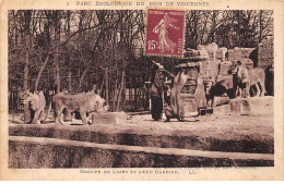 Parc Zoologique Du Bois De VINCENNES - Groupe De Lions Et Leur Gardien - Très Bon état - Vincennes