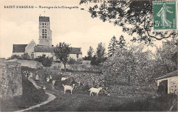 SAINT FARGEAU - Montagne De La Citanguette - Très Bon état - Andere & Zonder Classificatie