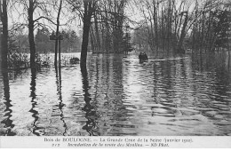 Bois De BOULOGNE - La Grande Crue De La Seine 1910 - Inondation De La Route Des Moulins - Très Bon état - Boulogne Billancourt