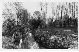 BURES SUR YVETTE - Les Bords De L'Yvette - Très Bon état - Bures Sur Yvette