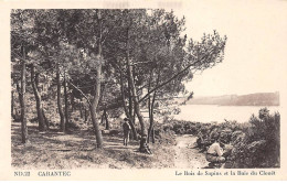 CARANTEC - Le Bois De Sapins Et La Baie Du Clouët - état - Carantec