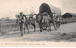 Scènes Et Types Landais - Attelage De Mules - Très Bon état - Andere & Zonder Classificatie