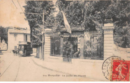 MONTPELLIER - Le Jardin Des Plantes - état - Montpellier
