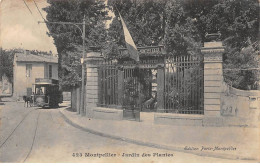 MONTPELLIER - Jardin Des Plantes - état - Montpellier