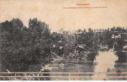 CHAMPIGNY - Vue Artistique Des Coteaux, Prise Du Pont - état - Champigny