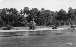 SAINT BENOIT SUR LOIRE - La Plage Et Son Terrain De Camping - Très Bon état - Andere & Zonder Classificatie