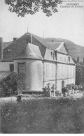 SOLOGNY - Château De Bionne - Très Bon état - Autres & Non Classés