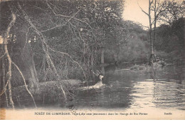 Forêt De COMPIEGNE - Cerf Dix Cors Dans Les Etangs De Sainte Périne - Très Bon état - Compiegne