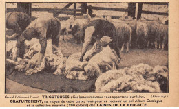 Filature De La REDOUTE à ROUBAIX - Moutons - Très Bon état - Roubaix
