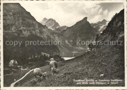 11638965 Saentis AR Gasthaus Forelle Und Seealpsee Altmann Kuehe Saentis AR - Altri & Non Classificati