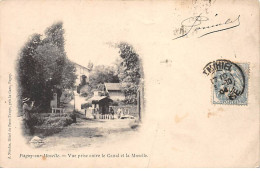 PAGNY SUR MOSELLE - Vue Prise Entre Le Canal Et La Moselle - état - Sonstige & Ohne Zuordnung